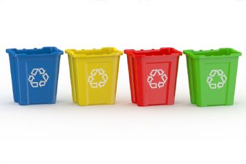Consegna contenitori umido e verde